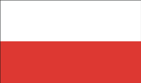Polska wersja / Polish version